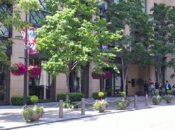 f:id:Magnoliarida:20090430211706j:image