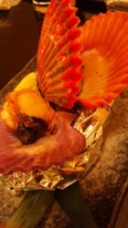 f:id:Magnoliarida:20090517002422j:image