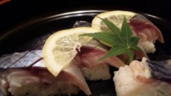 f:id:Magnoliarida:20090517002613j:image