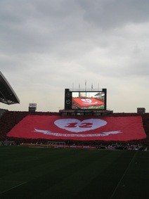 f:id:Magnoliarida:20090517013736j:image f:id:Magnoliarida:20090517013736j:image