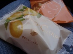 f:id:Magnoliarida:20090531002310j:image