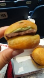 f:id:Magnoliarida:20090614015842j:image