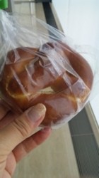 f:id:Magnoliarida:20090615011755j:image