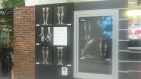 f:id:Magnoliarida:20090628014812j:image