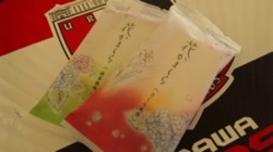 f:id:Magnoliarida:20090628015037j:image f:id:Magnoliarida:20090628015037j:image