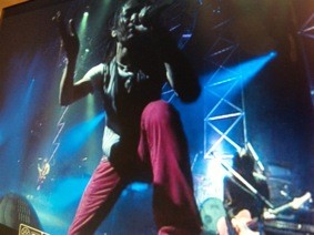 f:id:Magnoliarida:20090811230423j:image