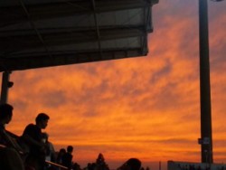 f:id:Magnoliarida:20090919175527j:image