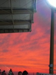 f:id:Magnoliarida:20090919175528j:image