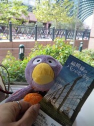 f:id:Magnoliarida:20090920000648j:image