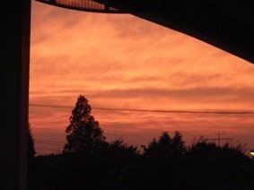 f:id:Magnoliarida:20090920103000j:image