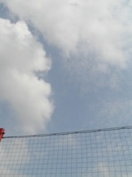 f:id:Magnoliarida:20090922202646j:image