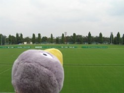 f:id:Magnoliarida:20090922204107j:image