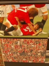 f:id:Magnoliarida:20090922205830j:image