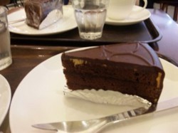 f:id:Magnoliarida:20090922205901j:image