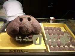 f:id:Magnoliarida:20090922210755j:image