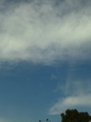 f:id:Magnoliarida:20091022134221j:image