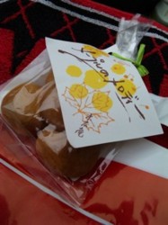 f:id:Magnoliarida:20091026010014j:image