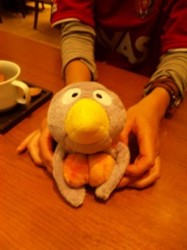 f:id:Magnoliarida:20091026010023j:image