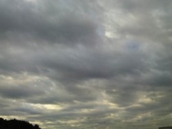 f:id:Magnoliarida:20091102134751j:image