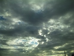 f:id:Magnoliarida:20091102134932j:image