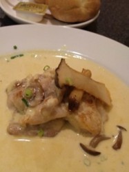 f:id:Magnoliarida:20091108235043j:image