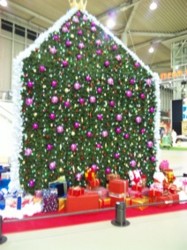 f:id:Magnoliarida:20091205003511j:image