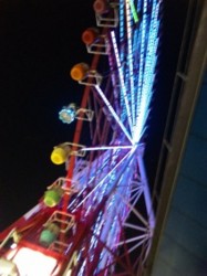 f:id:Magnoliarida:20091205003517j:image