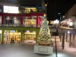 f:id:Magnoliarida:20091205010258j:image