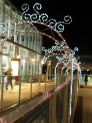 f:id:Magnoliarida:20091205010259j:image