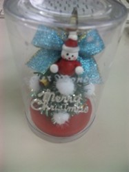 f:id:Magnoliarida:20091223124627j:image