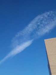 f:id:Magnoliarida:20091225014652j:image