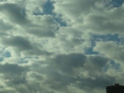 f:id:Magnoliarida:20091229111255j:image