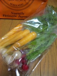 f:id:Magnoliarida:20091229172156j:image