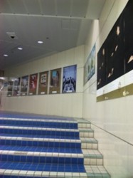 f:id:Magnoliarida:20100112234754j:image