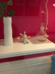 f:id:Magnoliarida:20100112234802j:image