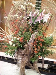 f:id:Magnoliarida:20100120214703j:image