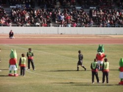 f:id:Magnoliarida:20100207220350j:image