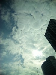 f:id:Magnoliarida:20100221193102j:image