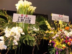 f:id:Magnoliarida:20100221193106j:image