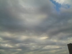 f:id:Magnoliarida:20100317222140j:image