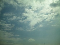 f:id:Magnoliarida:20100327213740j:image