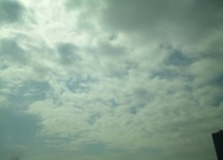 f:id:Magnoliarida:20100327213742j:image