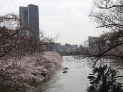 f:id:Magnoliarida:20100404001044j:image