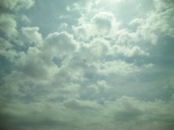 f:id:Magnoliarida:20100404001051j:image