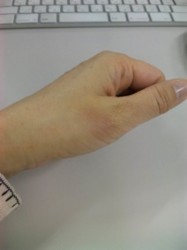 f:id:Magnoliarida:20100409135028j:image