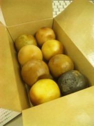 f:id:Magnoliarida:20100409165230j:image