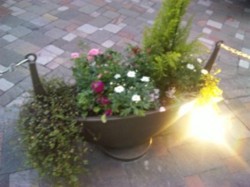 f:id:Magnoliarida:20100410003703j:image