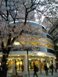 f:id:Magnoliarida:20100410003705j:image