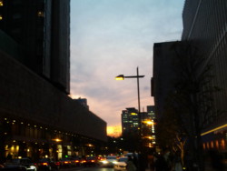 f:id:Magnoliarida:20100410003708j:image