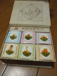 f:id:Magnoliarida:20100501004143j:image